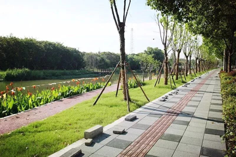 钱柜qg777(中国游)唯一官方网站